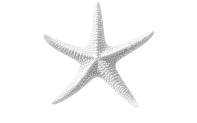Fototapeta premium White starfish isolated on a transparent background, PNG file