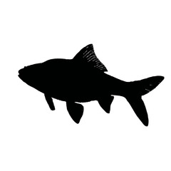 Solid black silhouette of a fish swimming