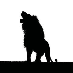 Solid black silhouette of a lion roaring