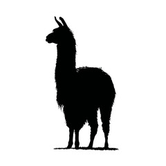 Solid black silhouette of a llama standing