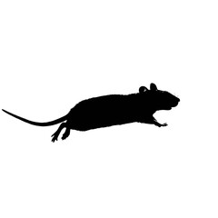 Solid black silhouette of a mouse scurrying