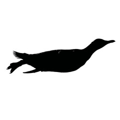 Solid black silhouette of a penguin sliding