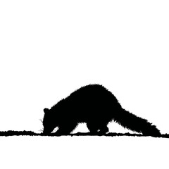 Solid black silhouette of a raccoon digging
