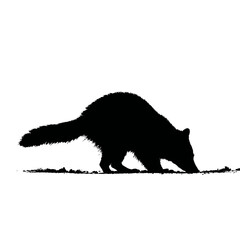 Solid black silhouette of a raccoon digging