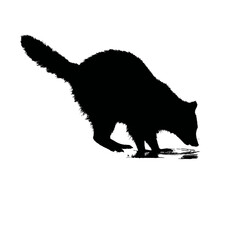 Solid black silhouette of a raccoon washing