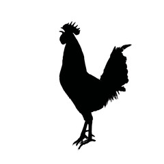 Solid black silhouette of a rooster crowing