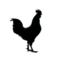 Solid black silhouette of a rooster strutting