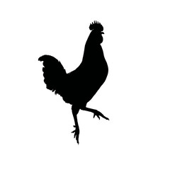 Solid black silhouette of a rooster strutting