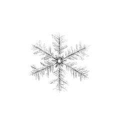 winter frozen snowflake close-up with animation

