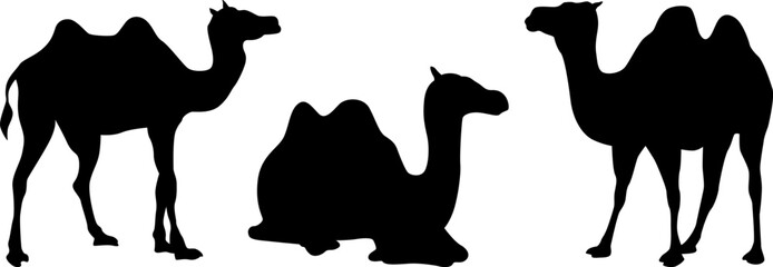 Minimalist Camel Silhouette &ndash; Desert Wildlife and Adventure