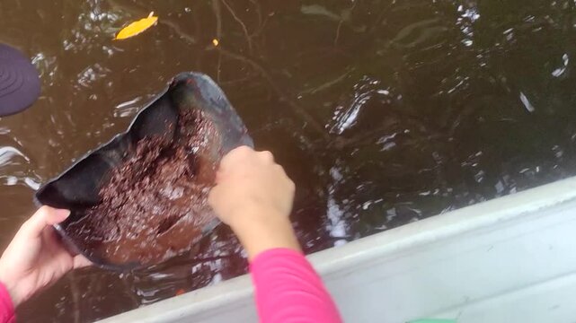 Man separating worms from earth to use as fishing bait. Person isolate earthworm from clay. Boy playing with lobworm for composting. Picking up with hand worms to fish in boat. Amazon jungle river. 