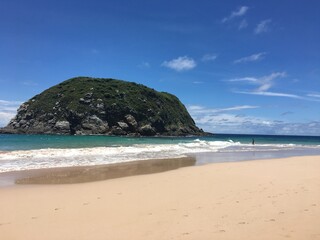 tropical beach with blue sky