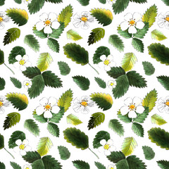 Hand Painted Strawberry Leaves and Flowers Pattern