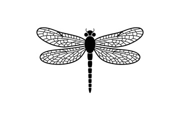 Dragonfly insect vector illustration black outline