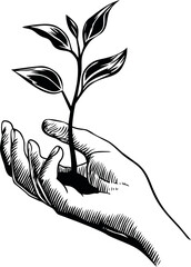 Monochrome illustration of hands holding a young plant sprout with leaves, growth. Vector illustration in sketch style