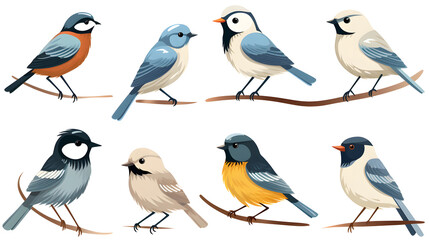 Colorful Collection of Cartoon Birds for Child Illustrations and Wildlife Storybooks