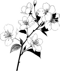 Naklejka premium Black and white illustration of cherry blossom on thin branch. Vector illustration in sketch style