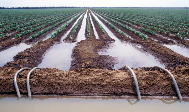 Ord river irrigation area near  kununurra, Western Australia.