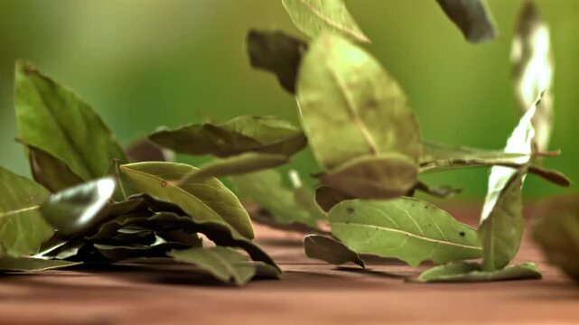 A bay leaf falls on the table. Filmed on a high-speed camera at 1000 fps. High quality FullHD footage