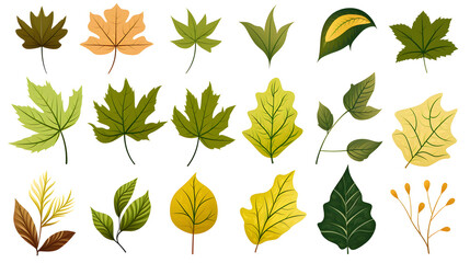 Obraz premium Detailed cartoon vector illustration of a colorful collection of leaves for creative projects