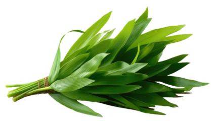 Wild Garlic in a Bundle: Freshly harvested wild garlic leaves, tied together, showcasing their vibrant green color and fresh aroma. An essential ingredient in many cuisines.