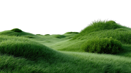 Serene Grassland: A picturesque, vibrant green field under a bright, expansive sky. the natural beauty of the landscape with its rolling hills and endless horizon