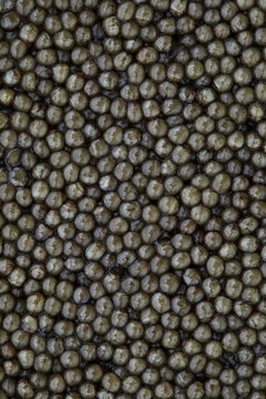 superior grade black caviar background, close-up view