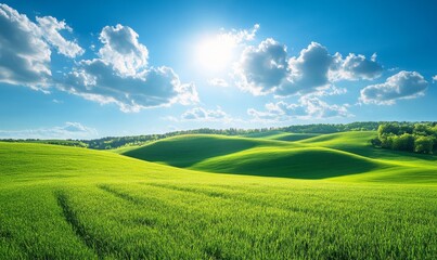 Obraz premium Green grass field on small hills and blue sky with clouds. Summer spring landscape background. Generative AI