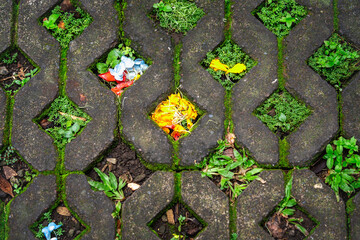 stone pavement with moss