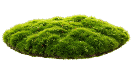 Lush Moss Island on black background