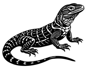 Creative details beautiful monitor lizard Vector Illustration