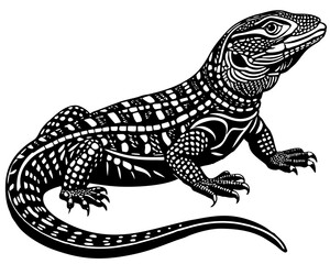 Creative details beautiful monitor lizard Vector Illustration