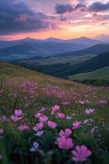 Obraz premium Sunset over rolling hills, wildflowers in foreground
