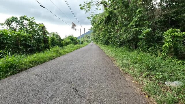 puerto rico riding biking cycling driving on empty road in el yunque national park rainforest tropical forest cloud covered nature landscape paved pavement tarmac view street country rural landscape