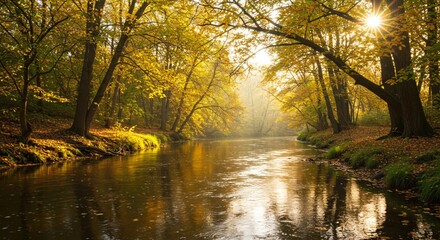 Autumn sunlight filtering through trees creates a serene river landscape scene