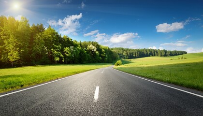 Fototapeta premium asphalt road and green meadow and forest nature landscape in summer