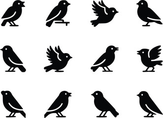 Graceful Flight Dynamic Feathered Friends Bird Wildlife Silhouette Vector Glyph Icons