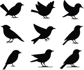 Graceful Flight Dynamic Feathered Friends Bird Wildlife Silhouette Vector Glyph Icons