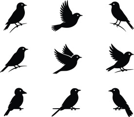 Graceful Flight Dynamic Feathered Friends Bird Wildlife Silhouette Vector Glyph Icons