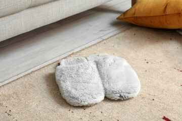 Soft slippers on carpet in living room, closeup