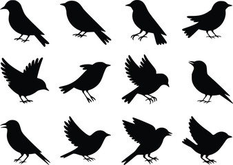 Graceful Flight Dynamic Feathered Friends Bird Wildlife Silhouette Vector Glyph Icons