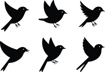 Fototapeta premium Graceful Flight Dynamic Feathered Friends Bird Wildlife Silhouette Vector Glyph Icons