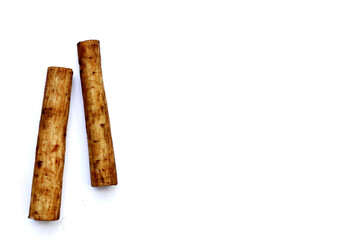 Fresh burdock roots or gobo roots
