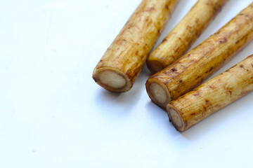 Fresh burdock roots or gobo roots