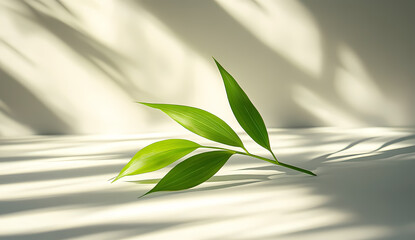 A sprig of vibrant green leaves rests on a pristine white surface, bathed in soft, natural light that casts delicate shadows.