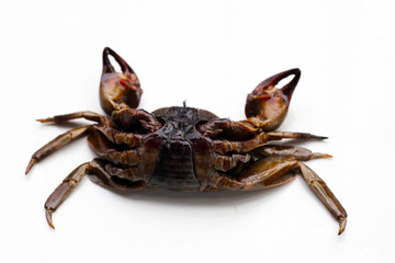 Preserved crabs for ingredient thai food