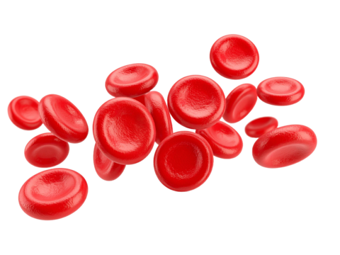 Red blood cells on white. Suitable for medical, scientific, educational or healthrelate designs, publications and presentations, emphasizing blood circulation.