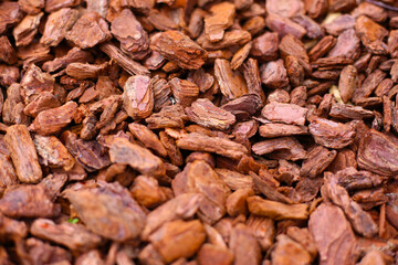Pine bark is an ingredient for cultivation. Beneficial to the soil and plants.
