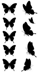 Elegant Black Butterfly Silhouettes: Flight & Form