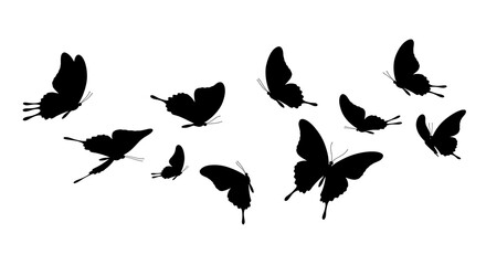 Obraz premium Silhouette Butterfly Flight: Elegant Black & White Illustration